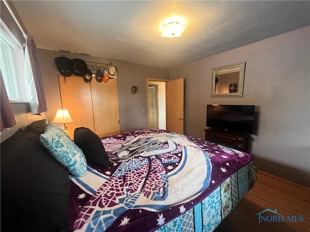 4448 Helmond Ct, Toledo, OH 43611 - bedroom with wood finished floors and a closet