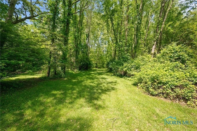 12949 Shaffer Rd, Swanton, OH 43558 - view of grassy yard with a forest view