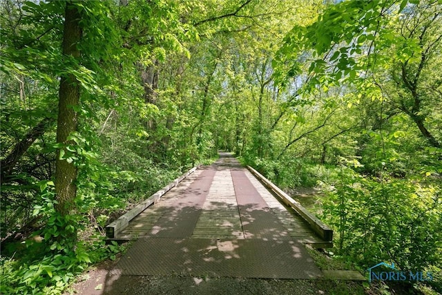 12949 Shaffer Rd, Swanton, OH 43558 - view of property's community with a view of trees
