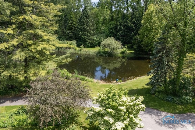 12949 Shaffer Rd, Swanton, OH 43558 - water view with a forest