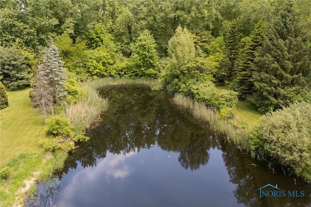 12949 Shaffer Rd, Swanton, OH 43558 - aerial view of a large body of water and a forest