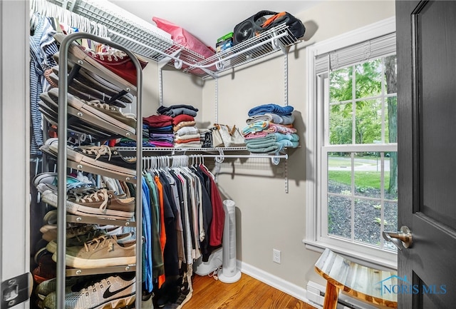 524 Sutton Pl, Findlay, OH 45840 - walk in closet with wood finished floors and a baseboard radiator