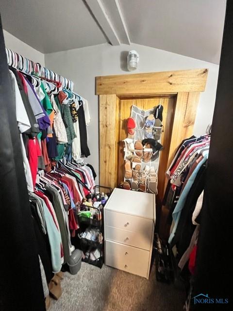 663 W Summit St, Fostoria, OH 44830 - spacious closet with carpet flooring