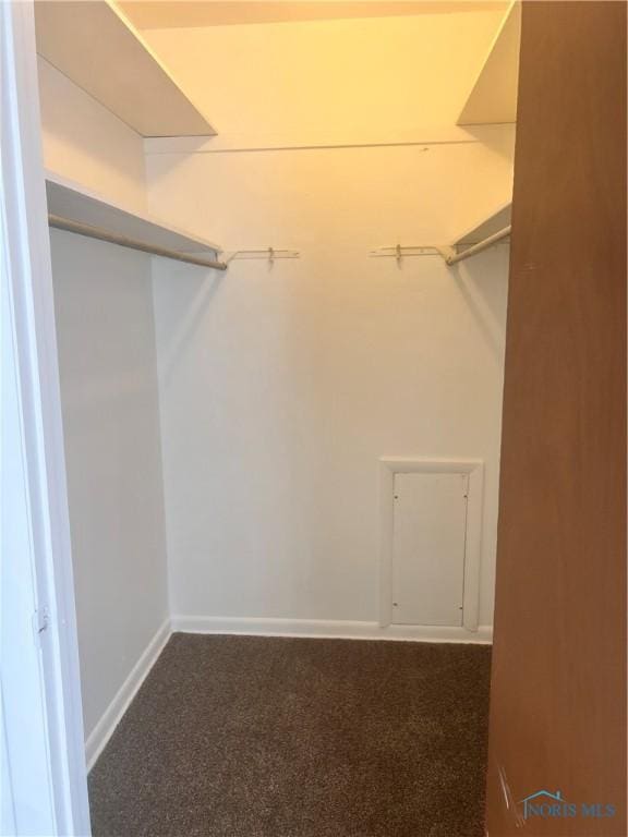 2134 Tedrow Rd, Toledo, OH 43614 - spacious closet with carpet floors
