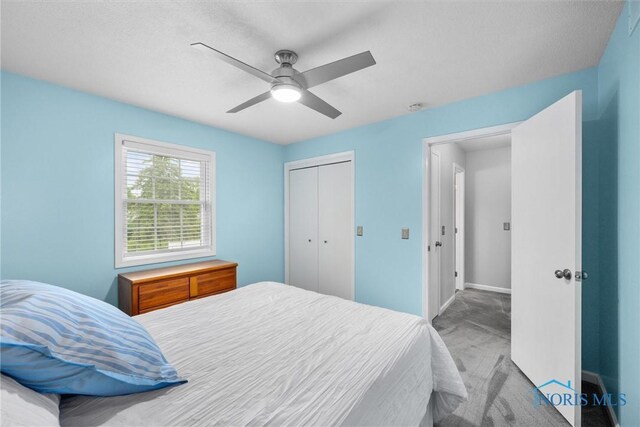 117 Freedom Ln, Waterville, OH 43566 - bedroom with a closet, carpet flooring, a ceiling fan, and baseboards