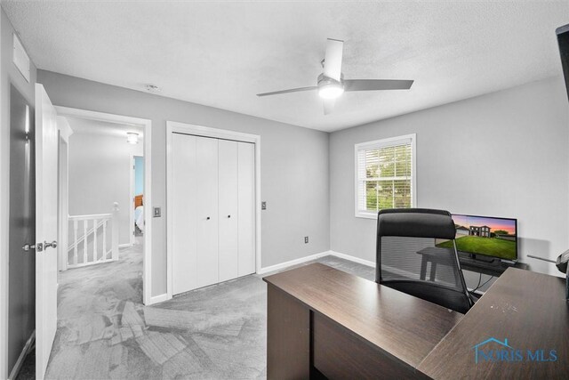 117 Freedom Ln, Waterville, OH 43566 - carpeted office space featuring a ceiling fan, baseboards, and a textured ceiling