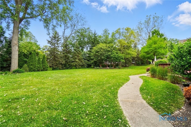 3236 Deep Water Ln, Maumee, OH 43537 - view of grassy yard