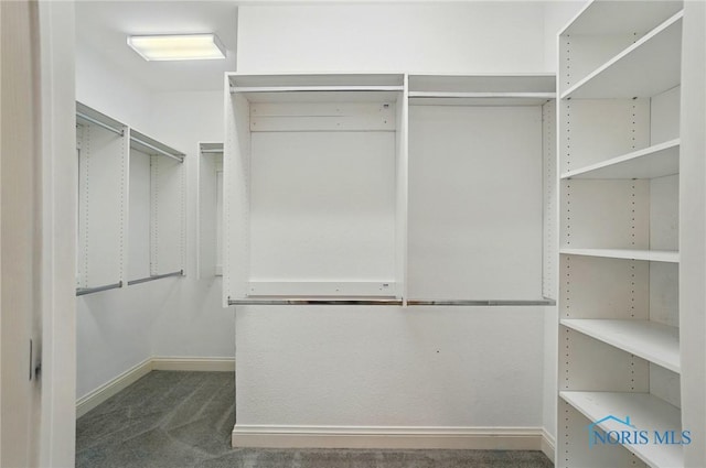 3236 Deep Water Ln, Maumee, OH 43537 - walk in closet featuring dark carpet