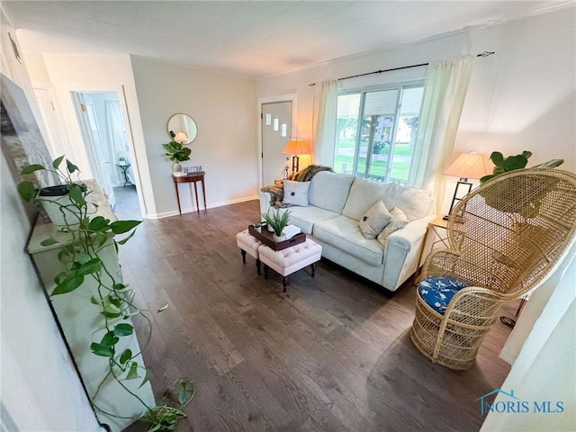 4635 Vermaas Ave, Toledo, OH 43612 - living room featuring wood finished floors
