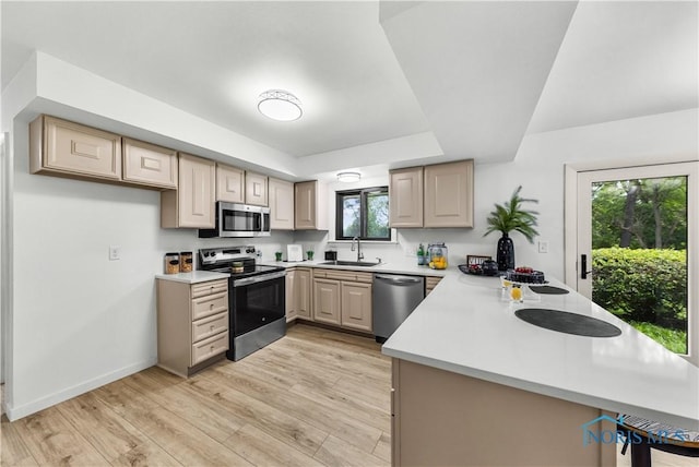 3407 Waterville Swanton Rd, Swanton, OH 43558 - kitchen with appliances with stainless steel finishes, a peninsula, a sink, light countertops, and a raised ceiling