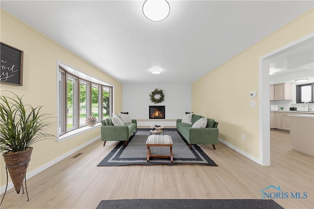 3407 Waterville Swanton Rd, Swanton, OH 43558 - living area with light wood-style floors, a glass covered fireplace, baseboards, and ornamental molding