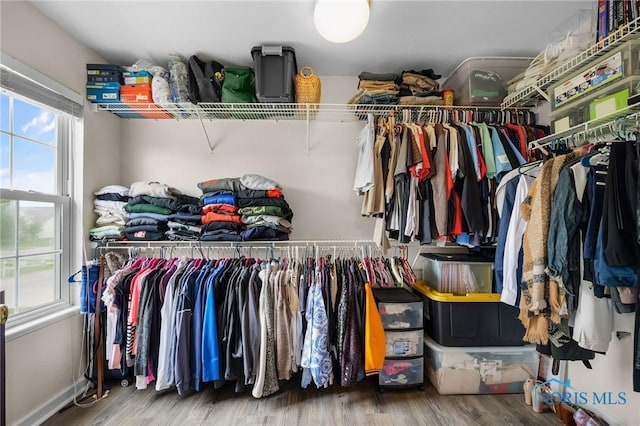 819 Wood Sorrel Ln, Perrysburg, OH 43551 - walk in closet with wood finished floors