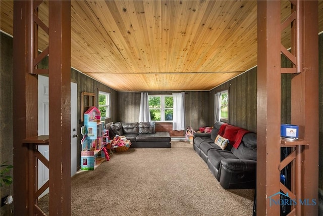 19330 N Dixie Hwy, Bowling Green, OH 43402 - living area featuring carpet floors, wood ceiling, and wooden walls