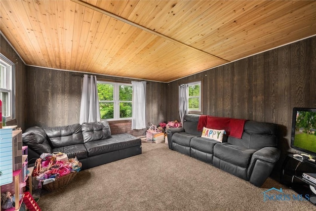 19330 N Dixie Hwy, Bowling Green, OH 43402 - carpeted living room with wooden ceiling and wood walls