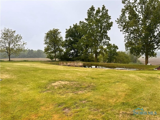 15807 State Route 49, Edon, OH 43518 - view of green lawn featuring a water view