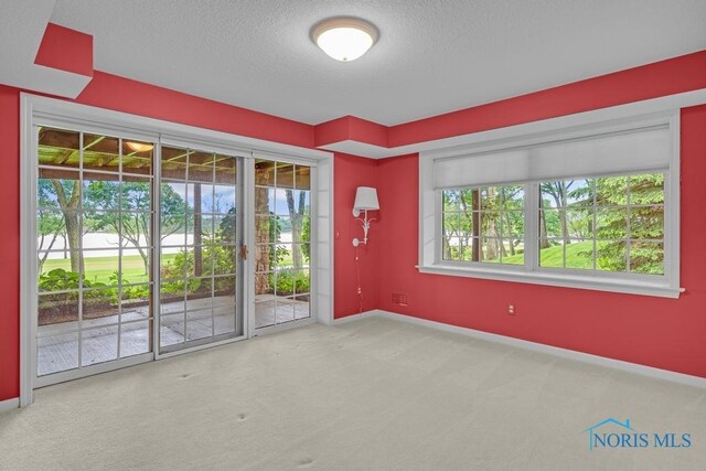 3835 River Rd, Toledo, OH 43614 - photo 47