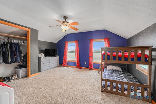 22227 US Highway 20a, West Unity, OH 43570 - carpeted bedroom featuring lofted ceiling, a textured ceiling, a closet, ceiling fan, and a textured wall