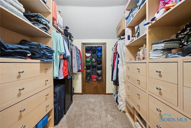 219 Illinois Dr, Bryan, OH 43506 - spacious closet featuring light colored carpet
