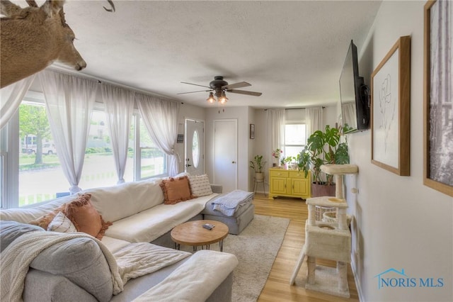 1367 Junior Dr, Maumee, OH 43537 - living area featuring ceiling fan, a textured ceiling, and light wood-style flooring