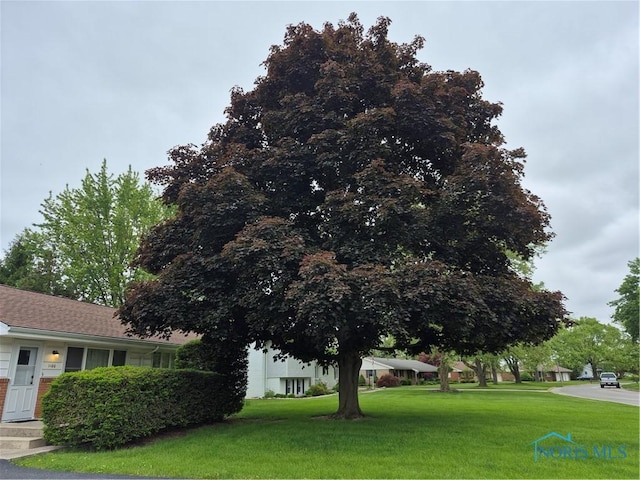 1100 Cherry Ln, Findlay, OH 45840 - view of green lawn