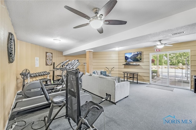 6640 Salisbury Rd Unit 212, Maumee, OH 43537 - workout area featuring ceiling fan, a textured ceiling, decorative columns, carpet, and wood walls