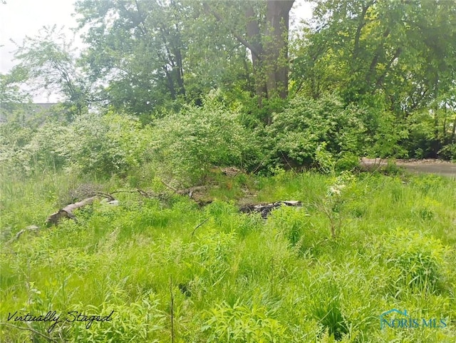 365 Canal Ave, Toledo, OH 43609 - photo 1