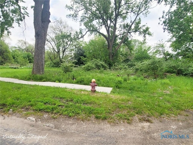 365 Canal Ave, Toledo, OH 43609 - photo 4