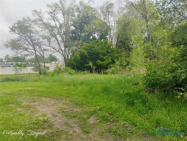 365 Canal Ave, Toledo, OH 43609 - photo 5