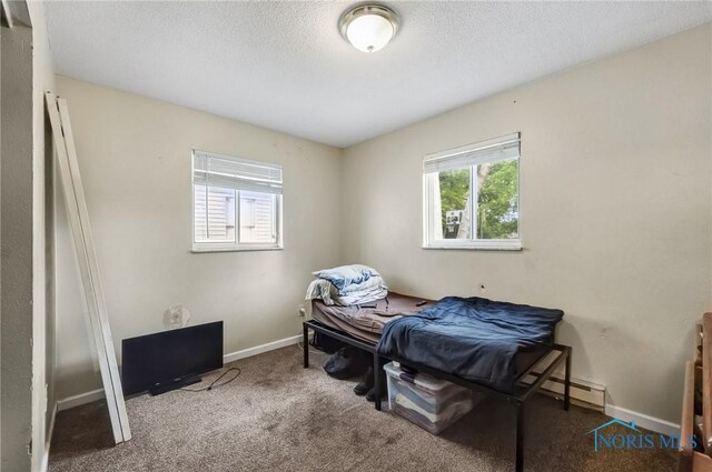 2146 Alvin St, Toledo, OH 43607 - carpeted bedroom featuring a baseboard heating unit, a textured ceiling, and baseboards