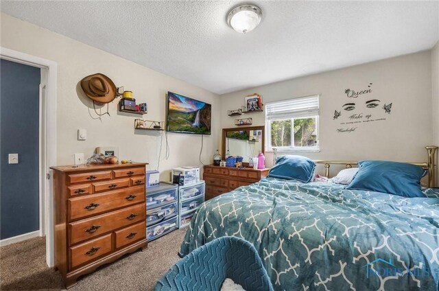 2146 Alvin St, Toledo, OH 43607 - bedroom featuring carpet flooring and a textured ceiling