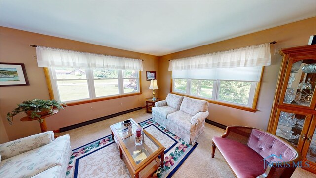 1501 Tiffin Rd, Fremont, OH 43420 - living room featuring light colored carpet and baseboards