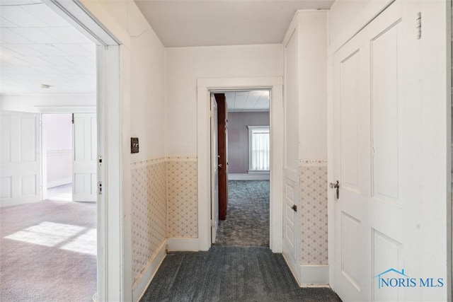 206 W Main St, Fayette, OH 43521 - hall featuring carpet floors and wainscoting