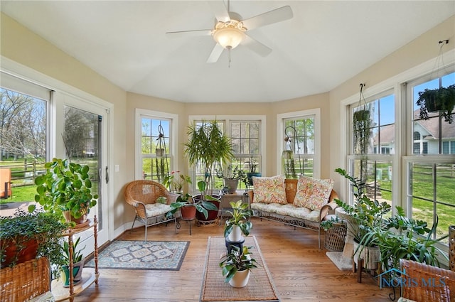 8420 Willow Glen Ct, Holland, OH 43528 - sunroom with plenty of natural light, wood finished floors, lofted ceiling, and baseboards