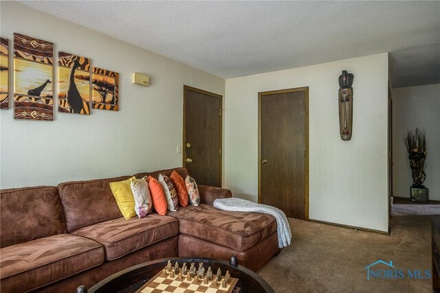 1711 Brownstone Blvd, Toledo, OH 43614 - living room with carpet flooring