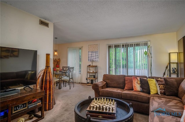 1711 Brownstone Blvd, Toledo, OH 43614 - carpeted living area with a textured ceiling
