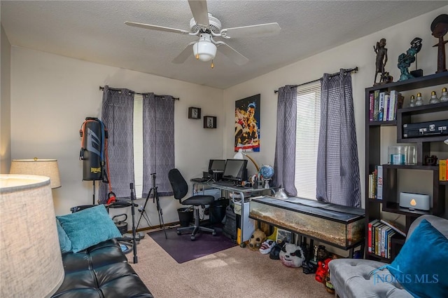 1711 Brownstone Blvd, Toledo, OH 43614 - carpeted office featuring ceiling fan and a textured ceiling