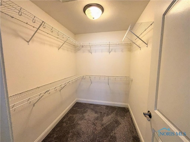 3244 Chasenwood Way, Perrysburg, OH 43551 - spacious closet featuring carpet flooring