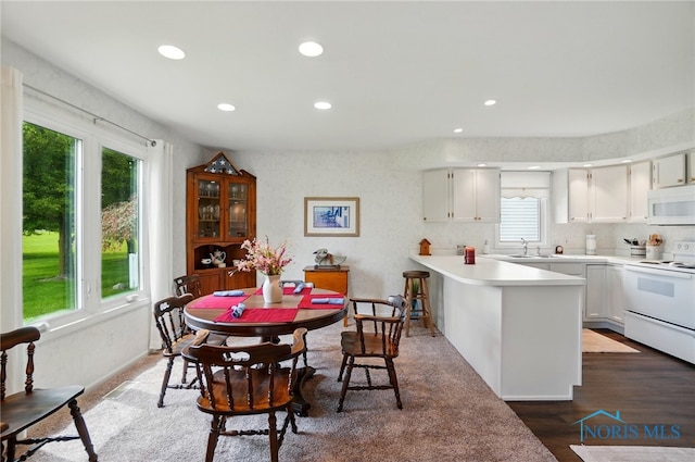 5733 Brook Cliffe Rd, Toledo, OH 43614 - dining room featuring recessed lighting