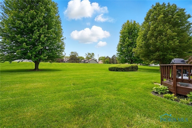 5733 Brook Cliffe Rd, Toledo, OH 43614 - view of green lawn