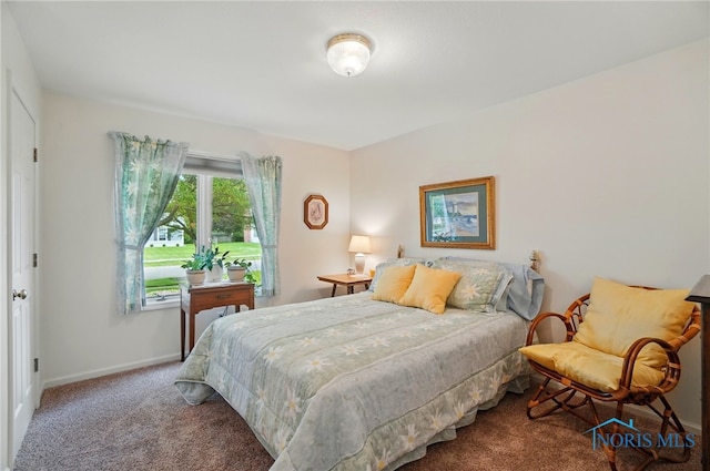 5733 Brook Cliffe Rd, Toledo, OH 43614 - carpeted bedroom with baseboards