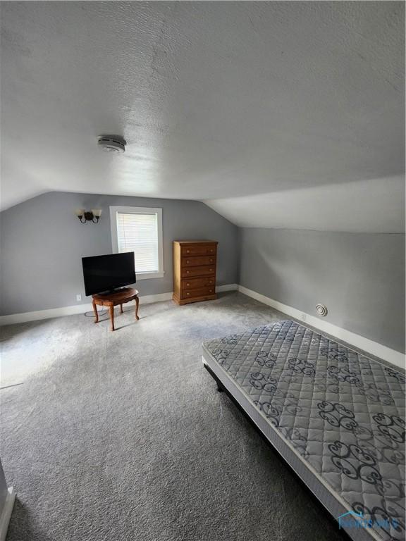815 S Blanchard St, Findlay, OH 45840 - bonus room featuring vaulted ceiling, carpet flooring, baseboards, and a textured ceiling