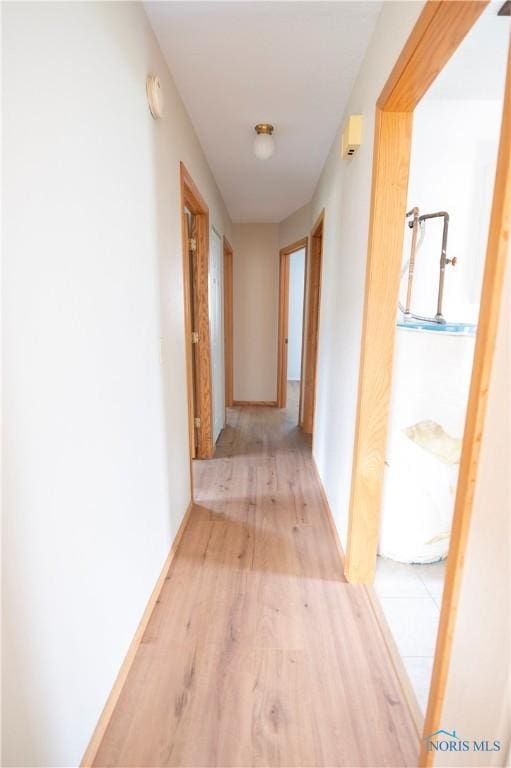 1621 Acorn Dr, Toledo, OH 43615 - hall featuring water heater and wood finished floors