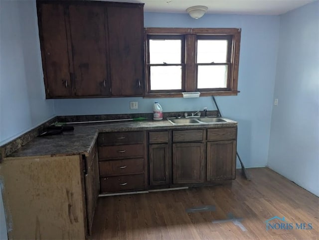 1022 Dodd St, Napoleon, OH 43545 - kitchen featuring a sink, dark wood-style flooring, and dark brown cabinets