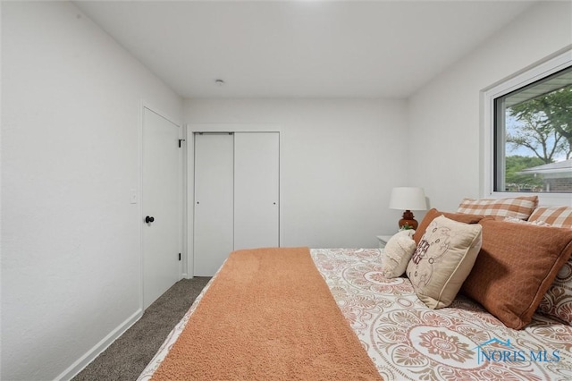 4801 Estero Pl, Toledo, OH 43623 - carpeted bedroom with a closet