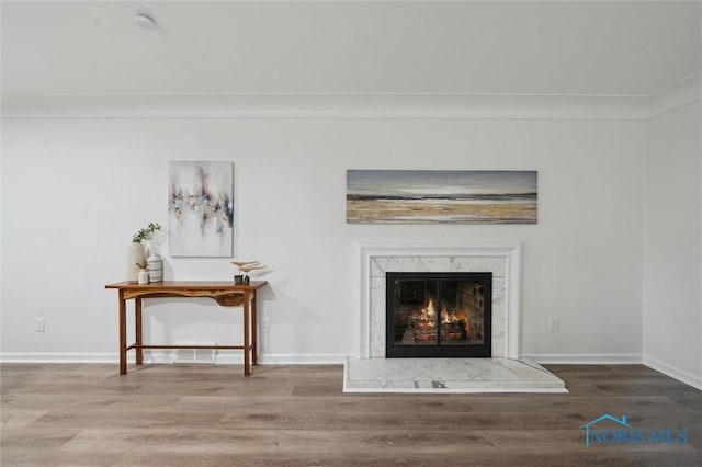 4801 Estero Pl, Toledo, OH 43623 - detailed view of wood finished floors, a premium fireplace, baseboards, and a smoke detector