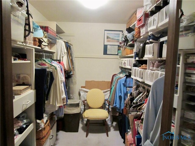 4343 W Bancroft St Unit 2D, Toledo, OH 43615 - view of spacious closet