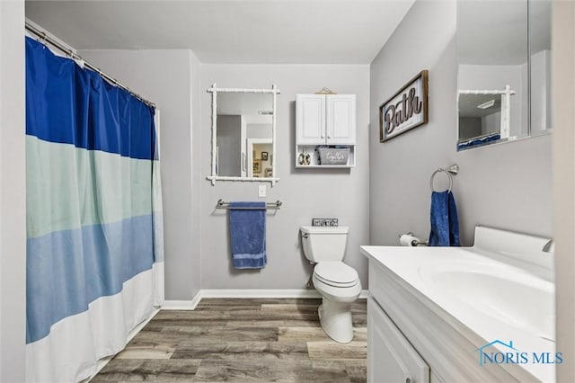 29674 E River Rd, Perrysburg, OH 43551 - bathroom featuring wood finished floors, toilet, vanity, baseboards, and a shower with curtain