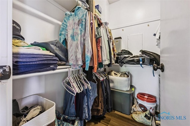 29674 E River Rd, Perrysburg, OH 43551 - walk in closet with wood finished floors