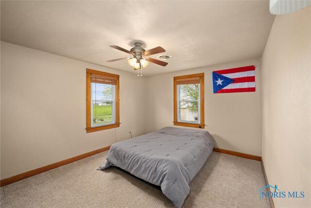 15819 County Road D, Wauseon, OH 43567 - bedroom featuring multiple windows, baseboards, and carpet floors