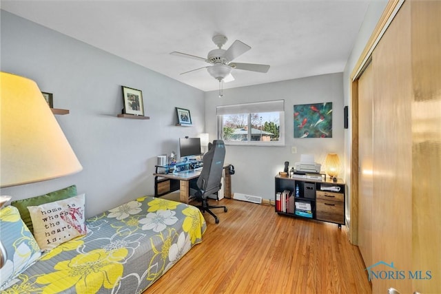 3519 Denise Dr, Toledo, OH 43614 - bedroom featuring wood finished floors, a closet, and ceiling fan